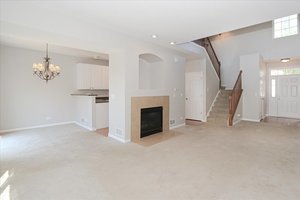 10049 Cummings Street Huntley, IL 60142 - Photo 16 of 30 a view of a livingroom with a fireplace