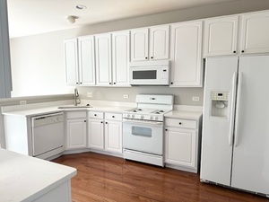 10049 Cummings Street Huntley, IL 60142 - Photo 5 of 30 a kitchen with appliances cabinets and a sink