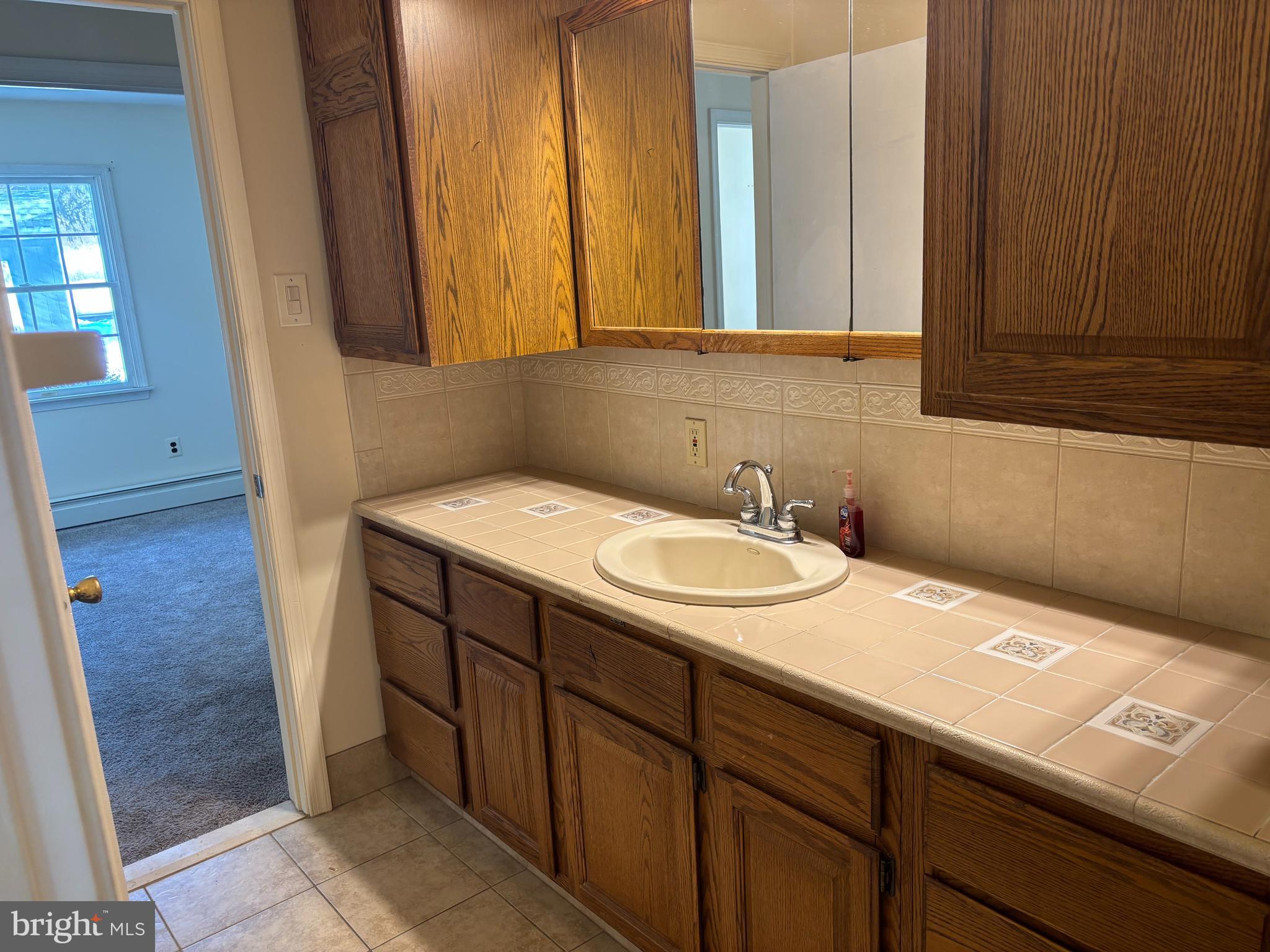 312 North Sandy Hill Road Coatesville, PA 19320 - Photo 17 of 23 a bathroom with a sink and a mirror