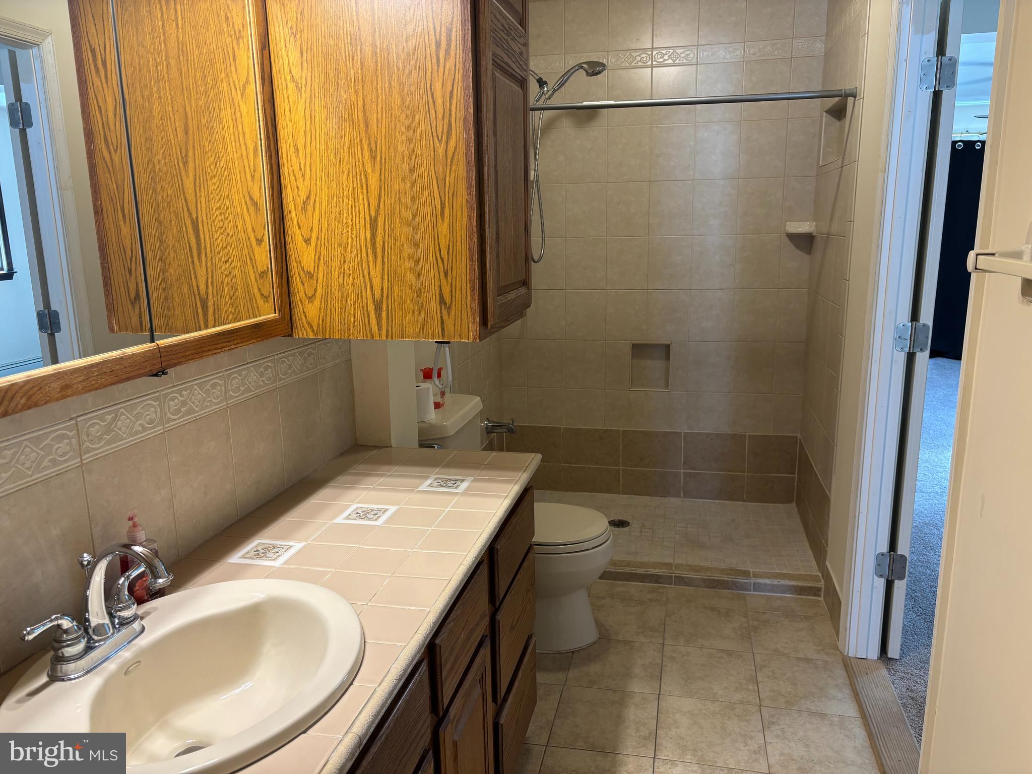 312 North Sandy Hill Road Coatesville, PA 19320 - Photo 18 of 23 a bathroom with a sink a toilet and shower