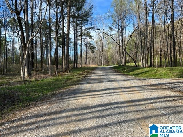 17 Rustic Oaks Drive, Unit 9 Sterrett, AL 35147 - Photo 12 of 13