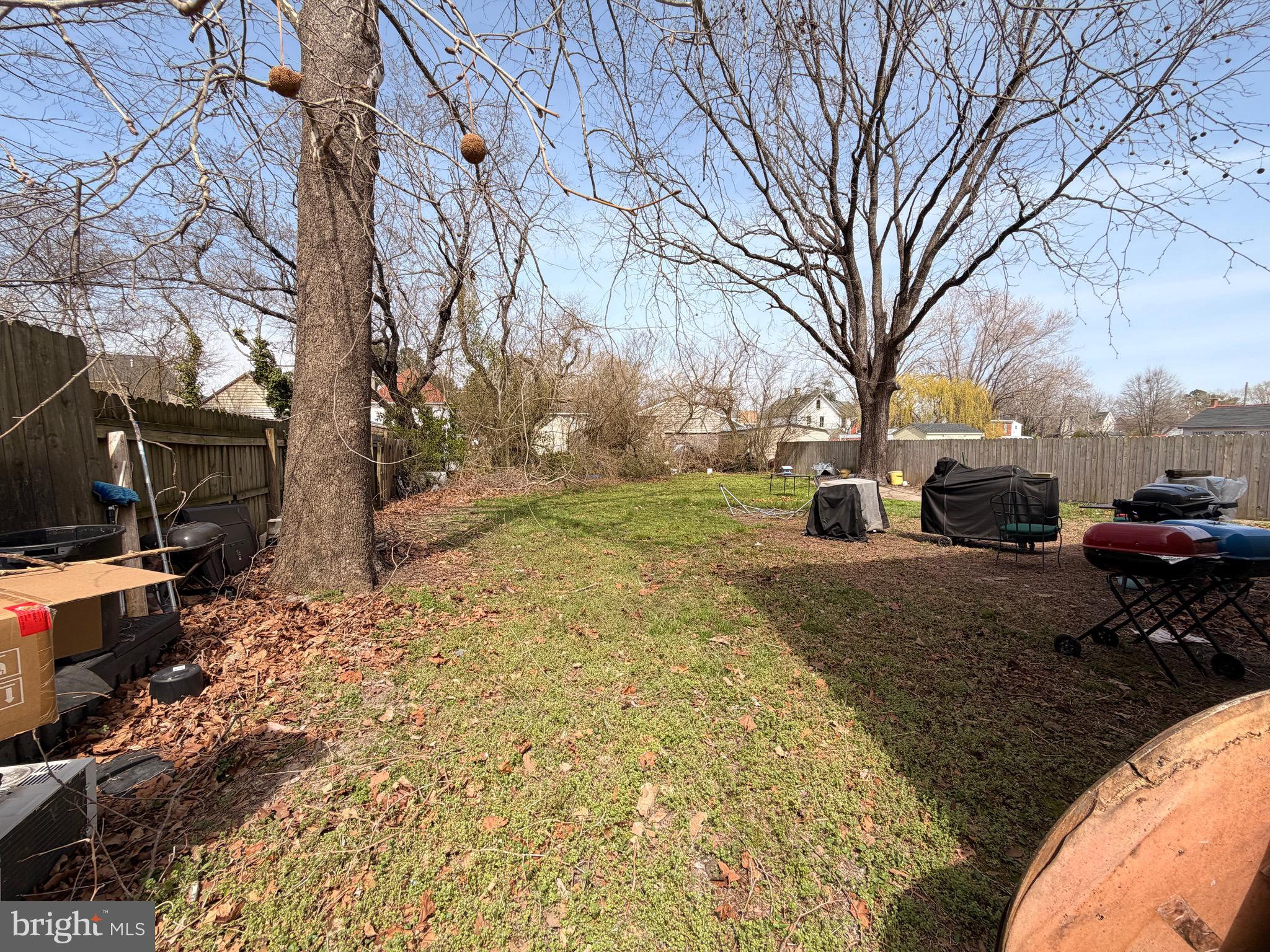 5 West Chestnut Street Delmar, MD 21875 - Photo 25 of 28 a view of a yard with a tree