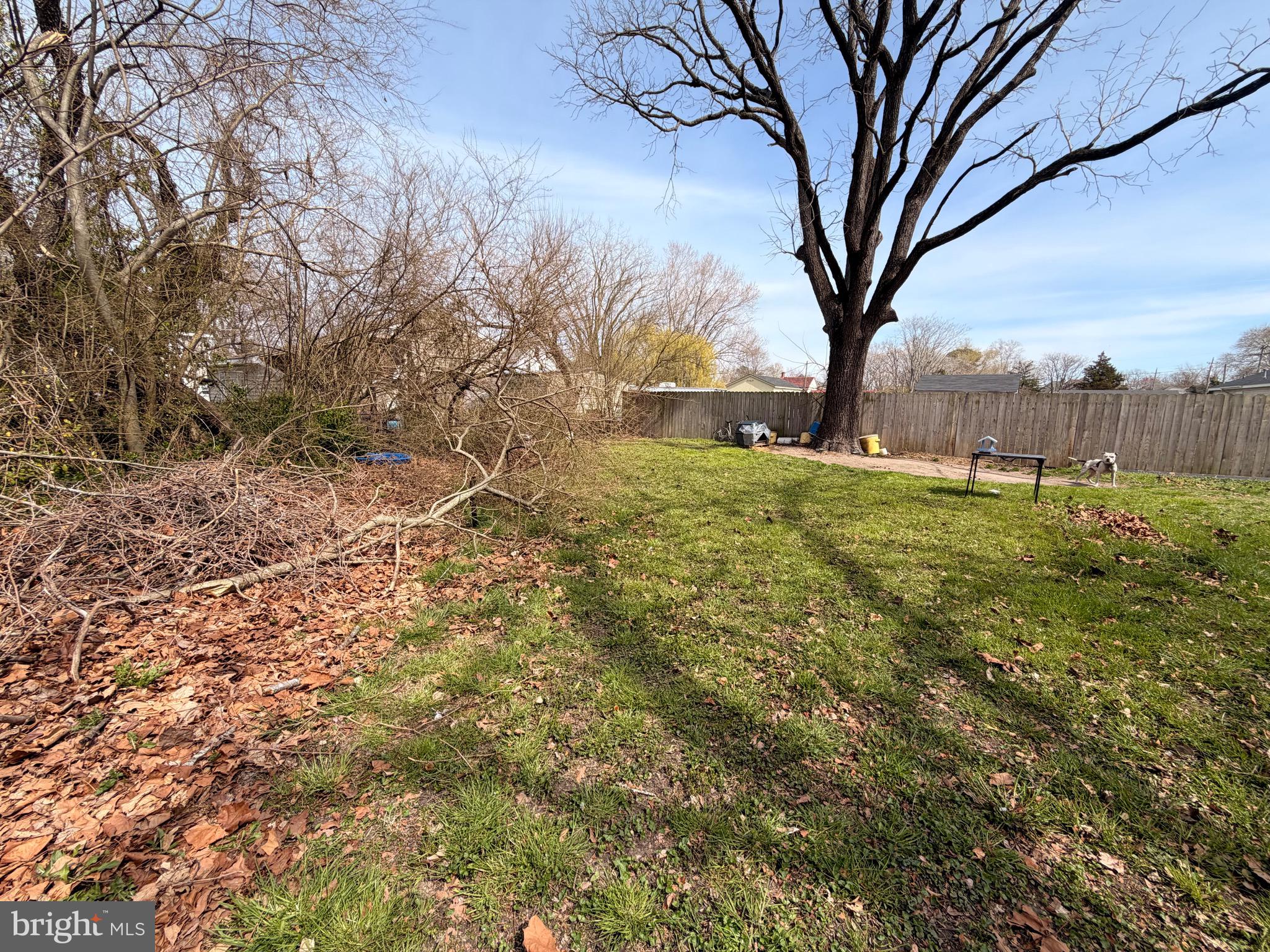 5 West Chestnut Street Delmar, MD 21875 - Photo 28 of 28 a view of a yard with a tree