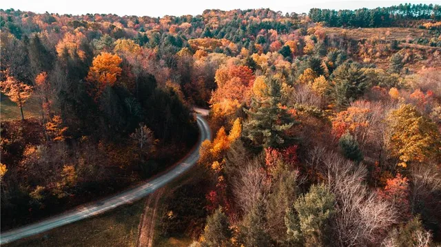a view of city and green space