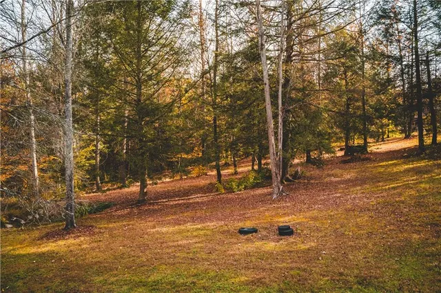 a backyard of a building with trees