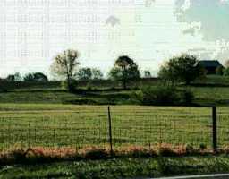 Cropper Road, Unit 40AC Pleasureville, KY 40057 - Photo 1 of 1 Primary Photo