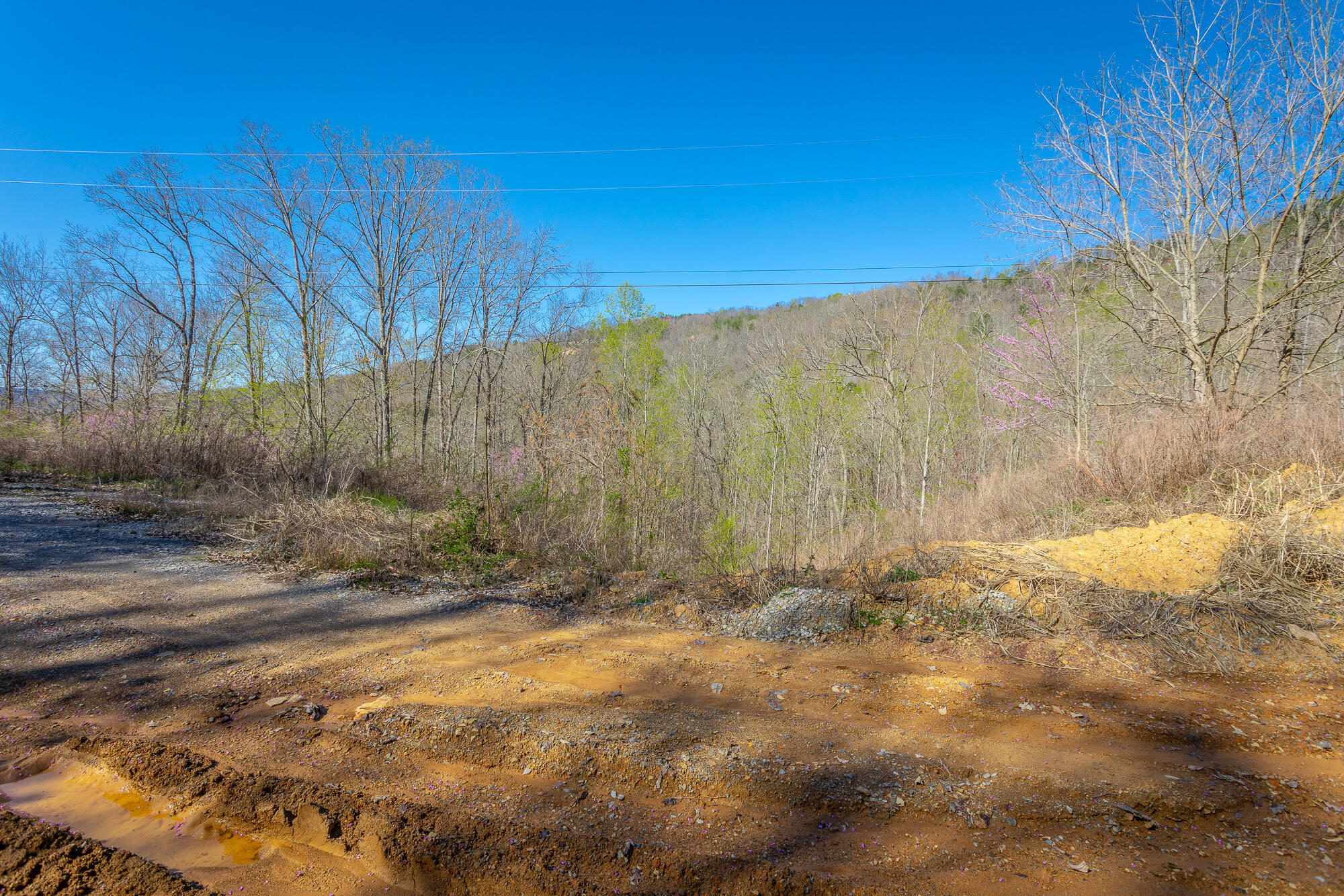 0 Teludachee Trail, Unit 144 Guild, TN 37340 - Photo 14 of 61 Ruckstuhls Lot (2) HD-11