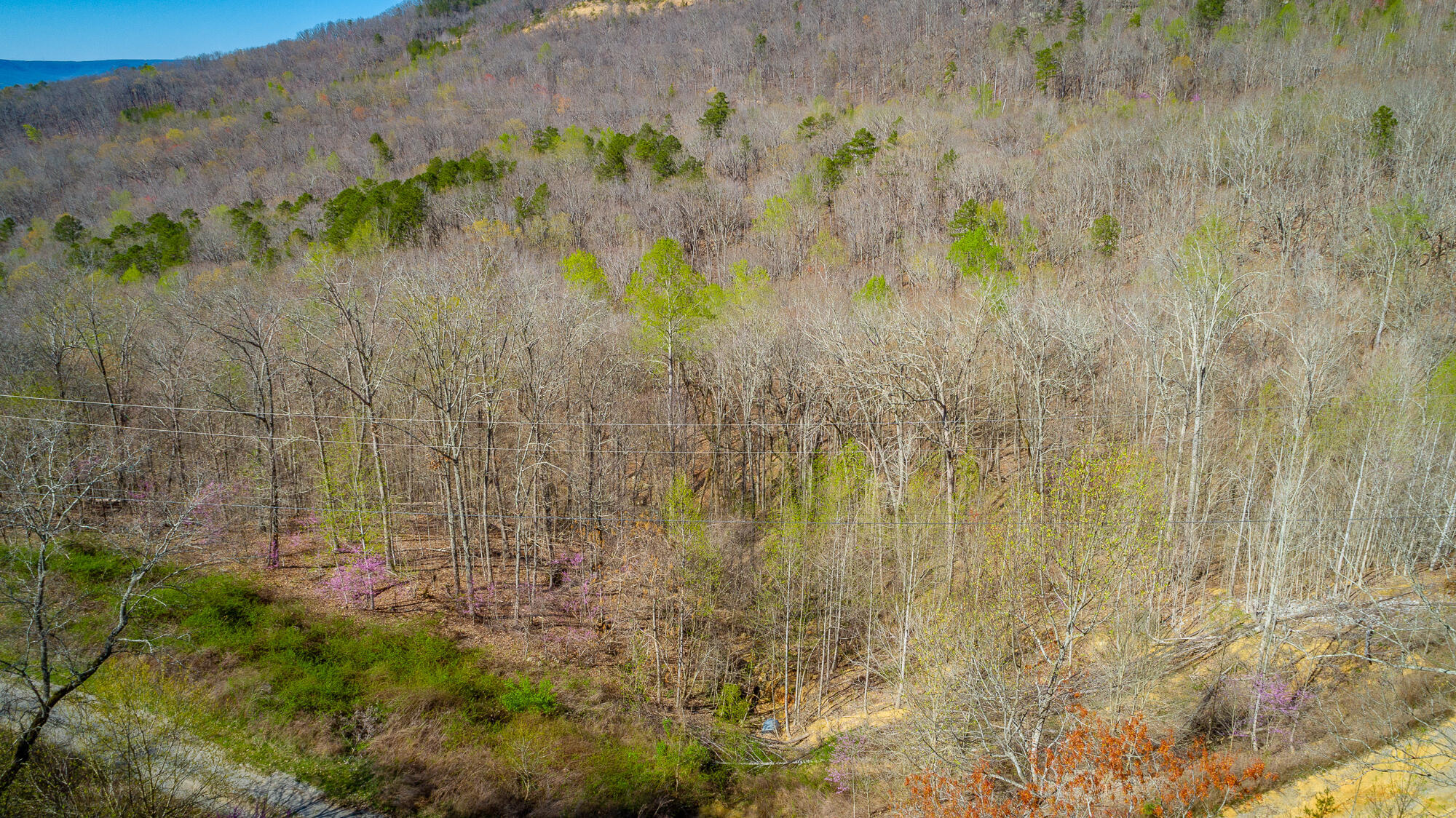 0 Teludachee Trail, Unit 144 Guild, TN 37340 - Photo 15 of 61 Ruckstuhls Lot (2) HD-52
