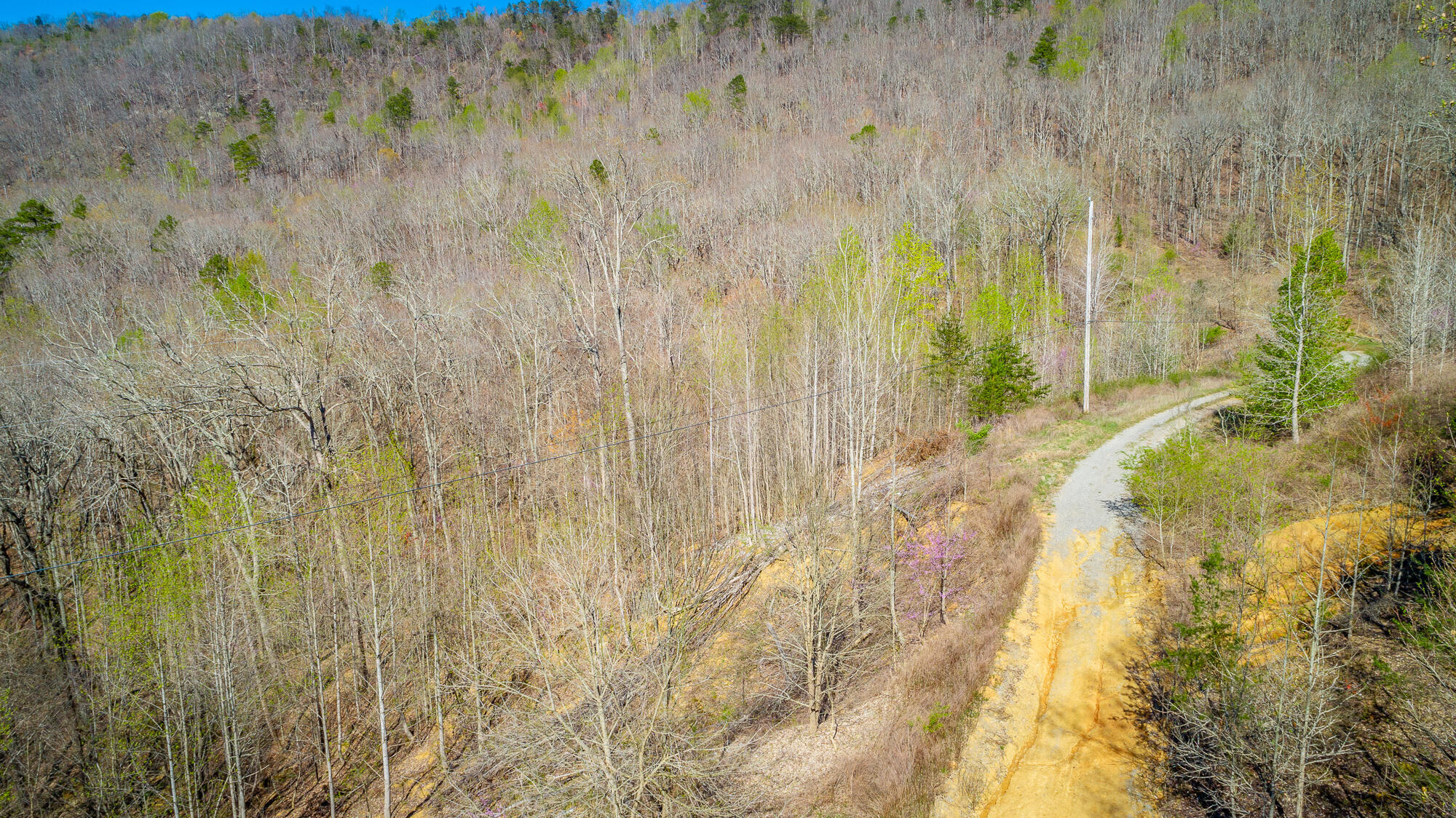 0 Teludachee Trail, Unit 144 Guild, TN 37340 - Photo 18 of 61 Ruckstuhls Lot (2) HD-44