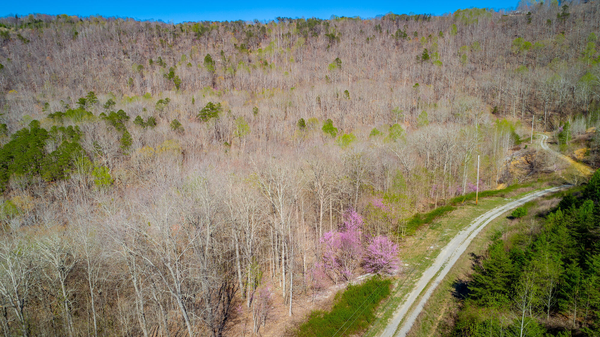 0 Teludachee Trail, Unit 144 Guild, TN 37340 - Photo 22 of 61 Ruckstuhls Lot (2) HD-57