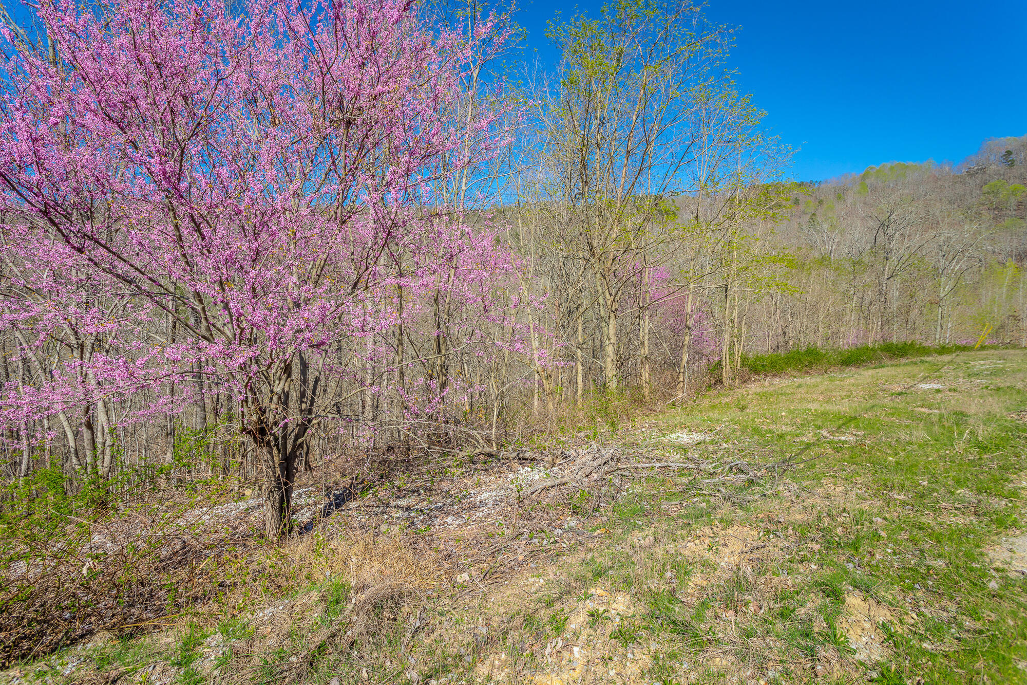 0 Teludachee Trail, Unit 144 Guild, TN 37340 - Photo 23 of 61 Ruckstuhls Lot (2) HD-28