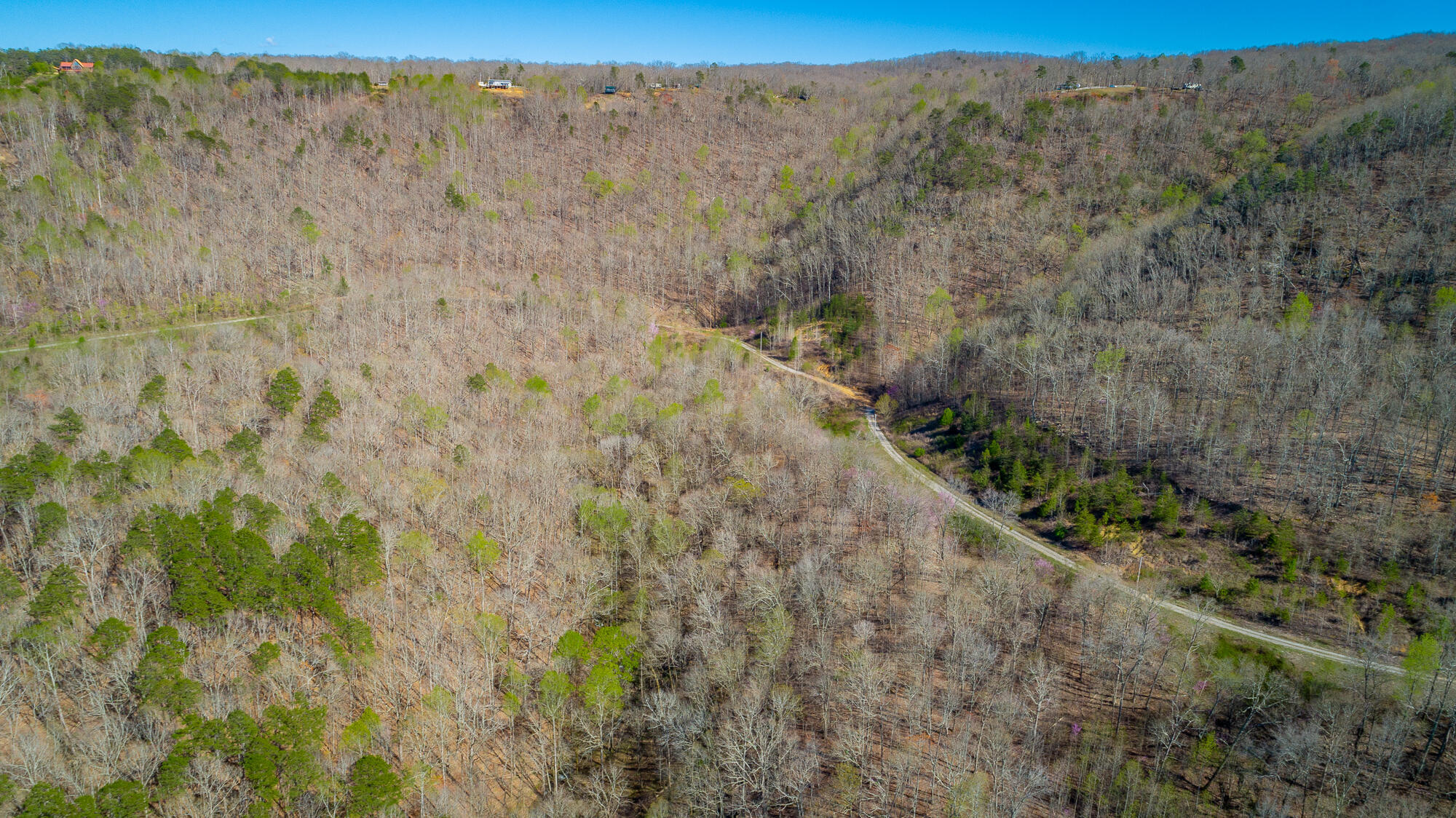 0 Teludachee Trail, Unit 144 Guild, TN 37340 - Photo 27 of 61 Ruckstuhls Lot (2) HD-75