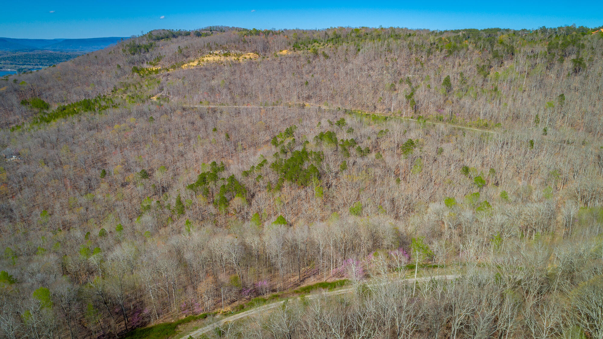 0 Teludachee Trail, Unit 144 Guild, TN 37340 - Photo 29 of 61 Ruckstuhls Lot (2) HD-78