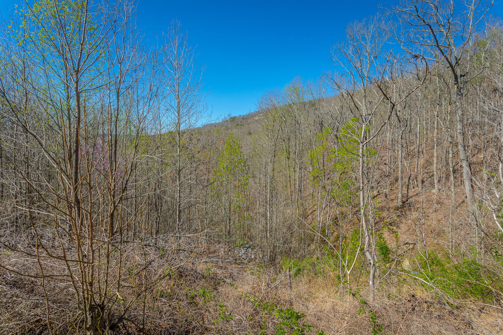 0 Teludachee Trail, Unit 144 Guild, TN 37340 - Photo 32 of 61 Ruckstuhls Lot (2) HD-3