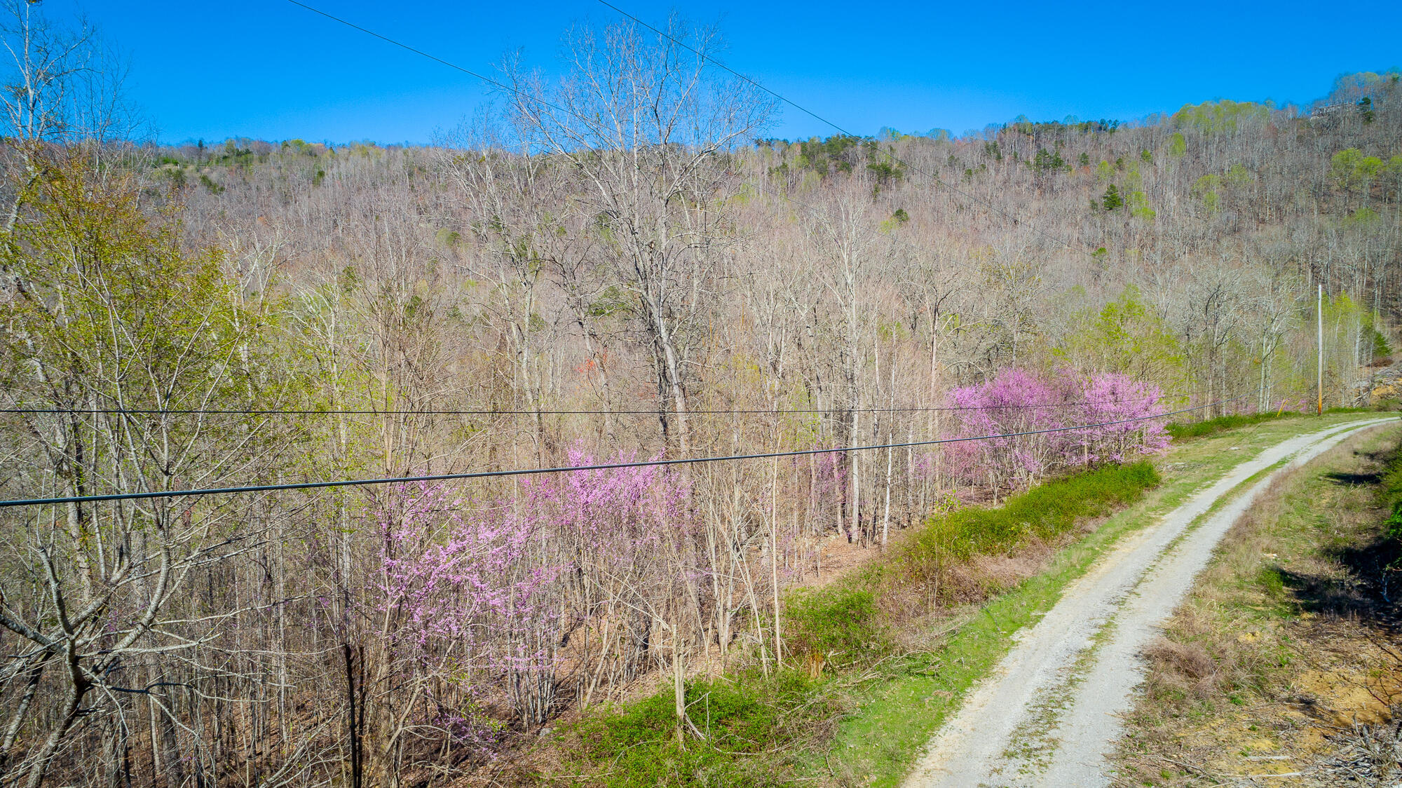 0 Teludachee Trail, Unit 144 Guild, TN 37340 - Photo 33 of 61 Ruckstuhls Lot (2) HD-35