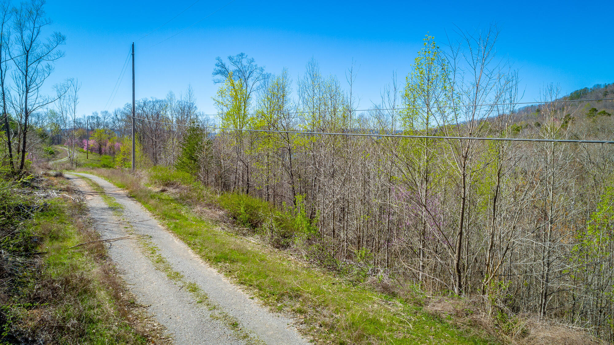 0 Teludachee Trail, Unit 144 Guild, TN 37340 - Photo 34 of 61 Ruckstuhls Lot (2) HD-36