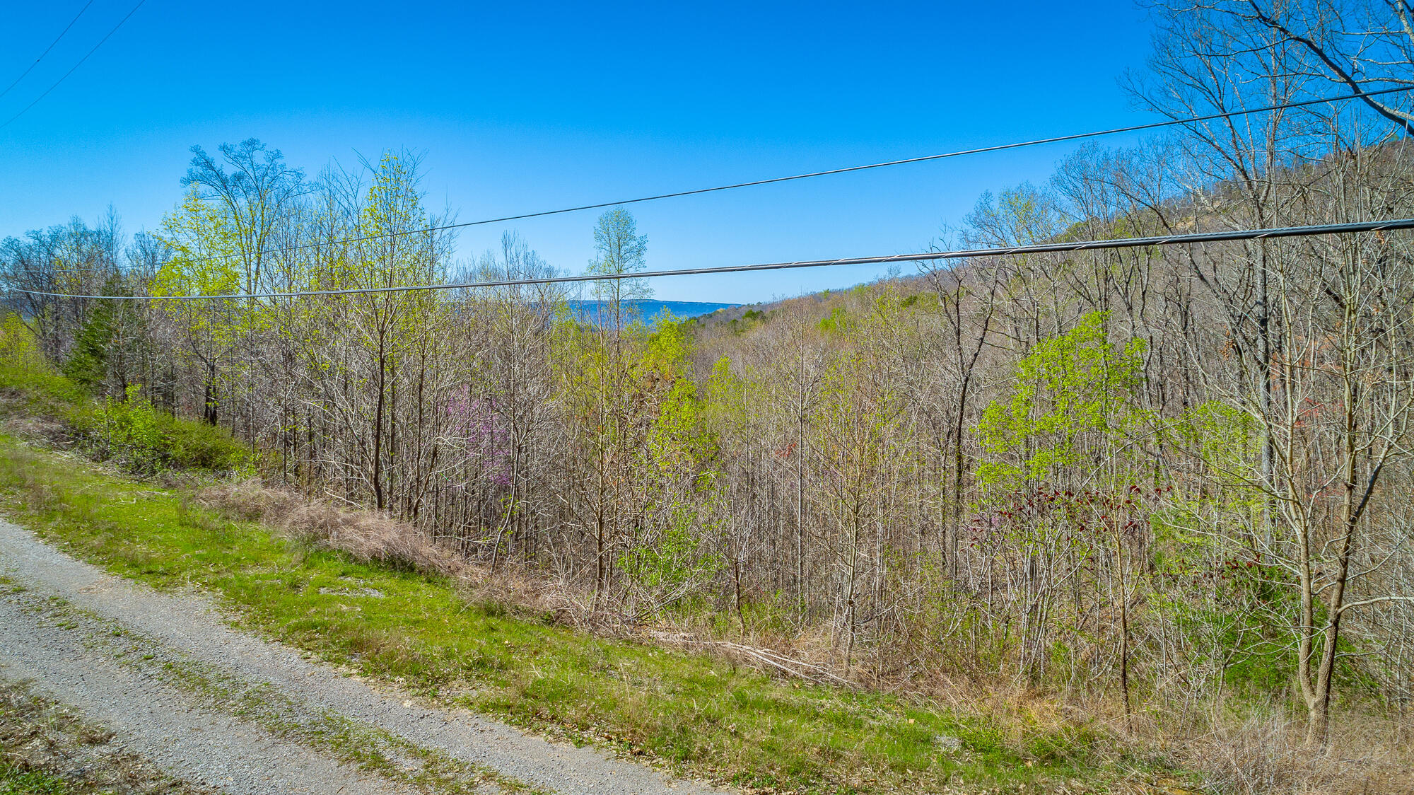 0 Teludachee Trail, Unit 144 Guild, TN 37340 - Photo 35 of 61 Ruckstuhls Lot (2) HD-37