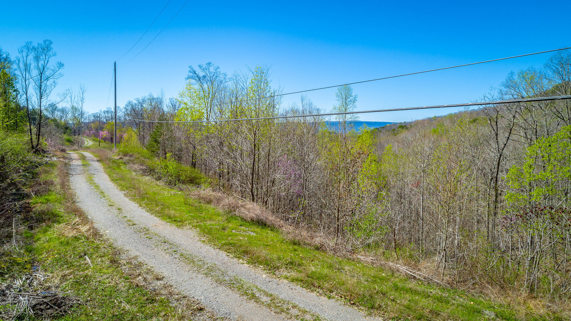 0 Teludachee Trail, Unit 144 Guild, TN 37340 - Photo 36 of 61 Ruckstuhls Lot (2) HD-38