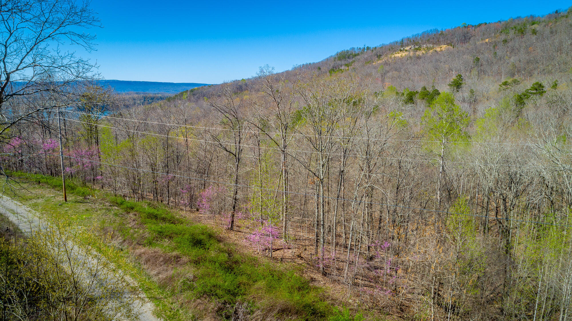 0 Teludachee Trail, Unit 144 Guild, TN 37340 - Photo 39 of 61 Ruckstuhls Lot (2) HD-42