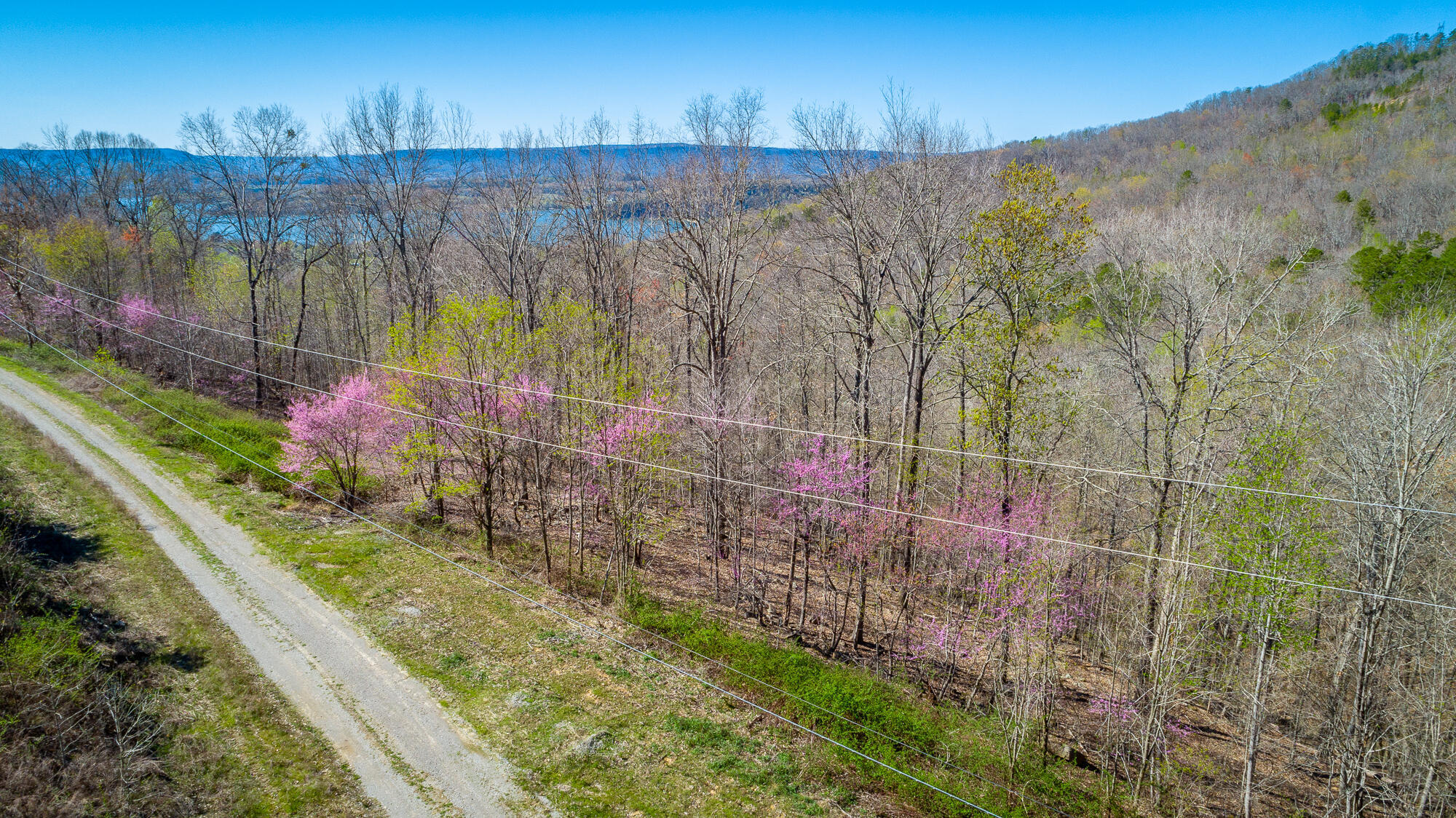 0 Teludachee Trail, Unit 144 Guild, TN 37340 - Photo 41 of 61 Ruckstuhls Lot (2) HD-45