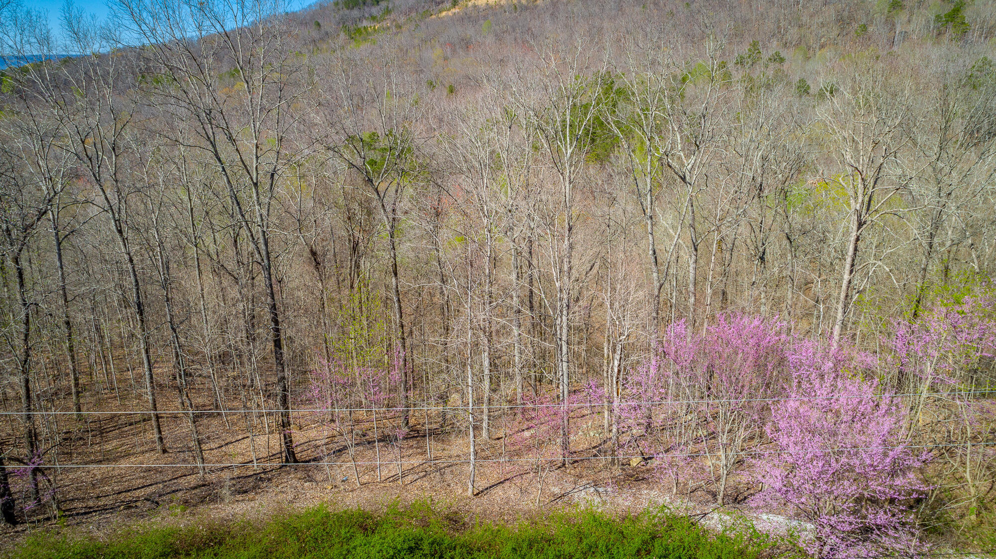 0 Teludachee Trail, Unit 144 Guild, TN 37340 - Photo 42 of 61 Ruckstuhls Lot (2) HD-46