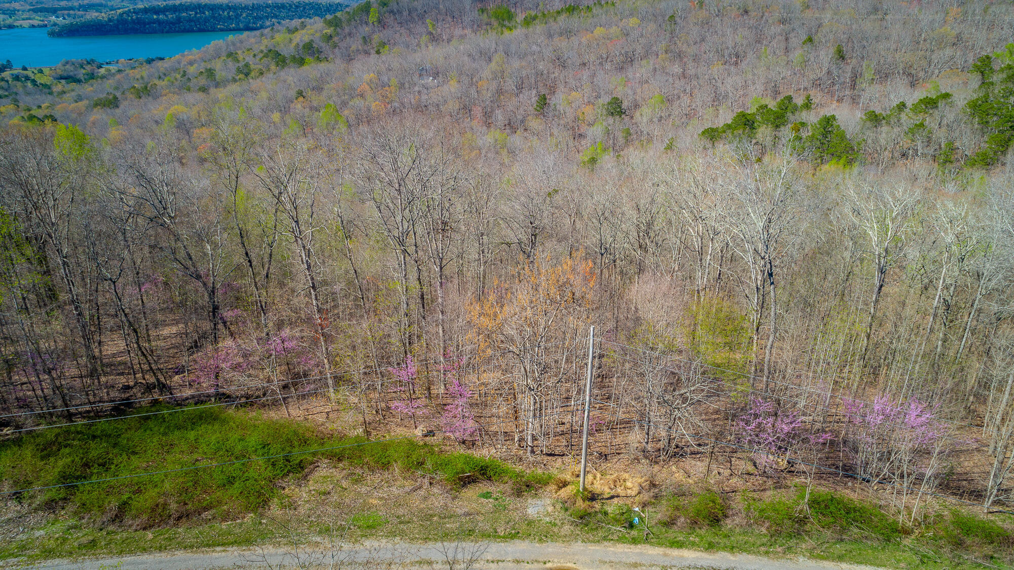 0 Teludachee Trail, Unit 144 Guild, TN 37340 - Photo 44 of 61 Ruckstuhls Lot (2) HD-49