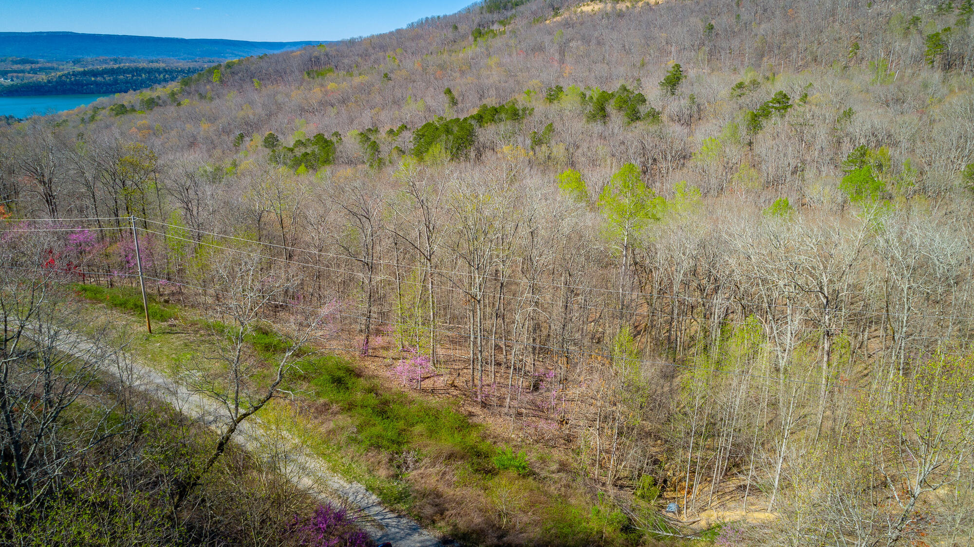0 Teludachee Trail, Unit 144 Guild, TN 37340 - Photo 46 of 61 Ruckstuhls Lot (2) HD-51