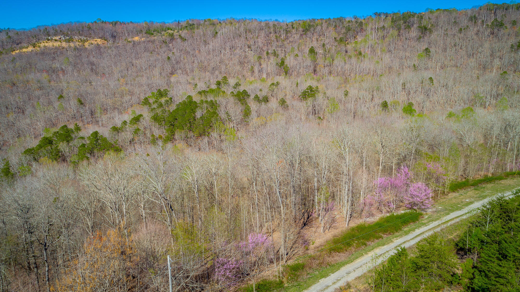 0 Teludachee Trail, Unit 144 Guild, TN 37340 - Photo 48 of 61 Ruckstuhls Lot (2) HD-56