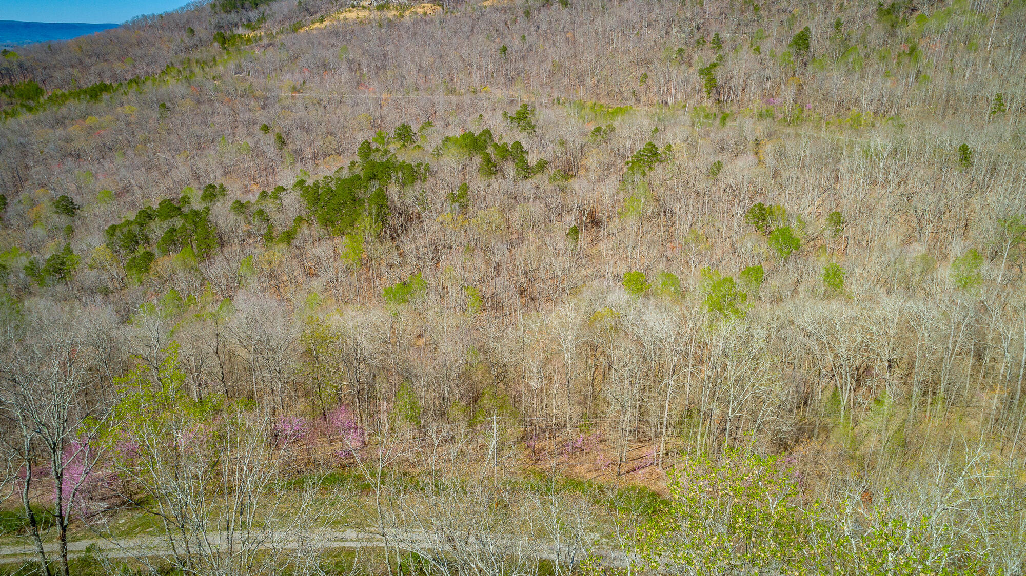 0 Teludachee Trail, Unit 144 Guild, TN 37340 - Photo 49 of 61 Ruckstuhls Lot (2) HD-58