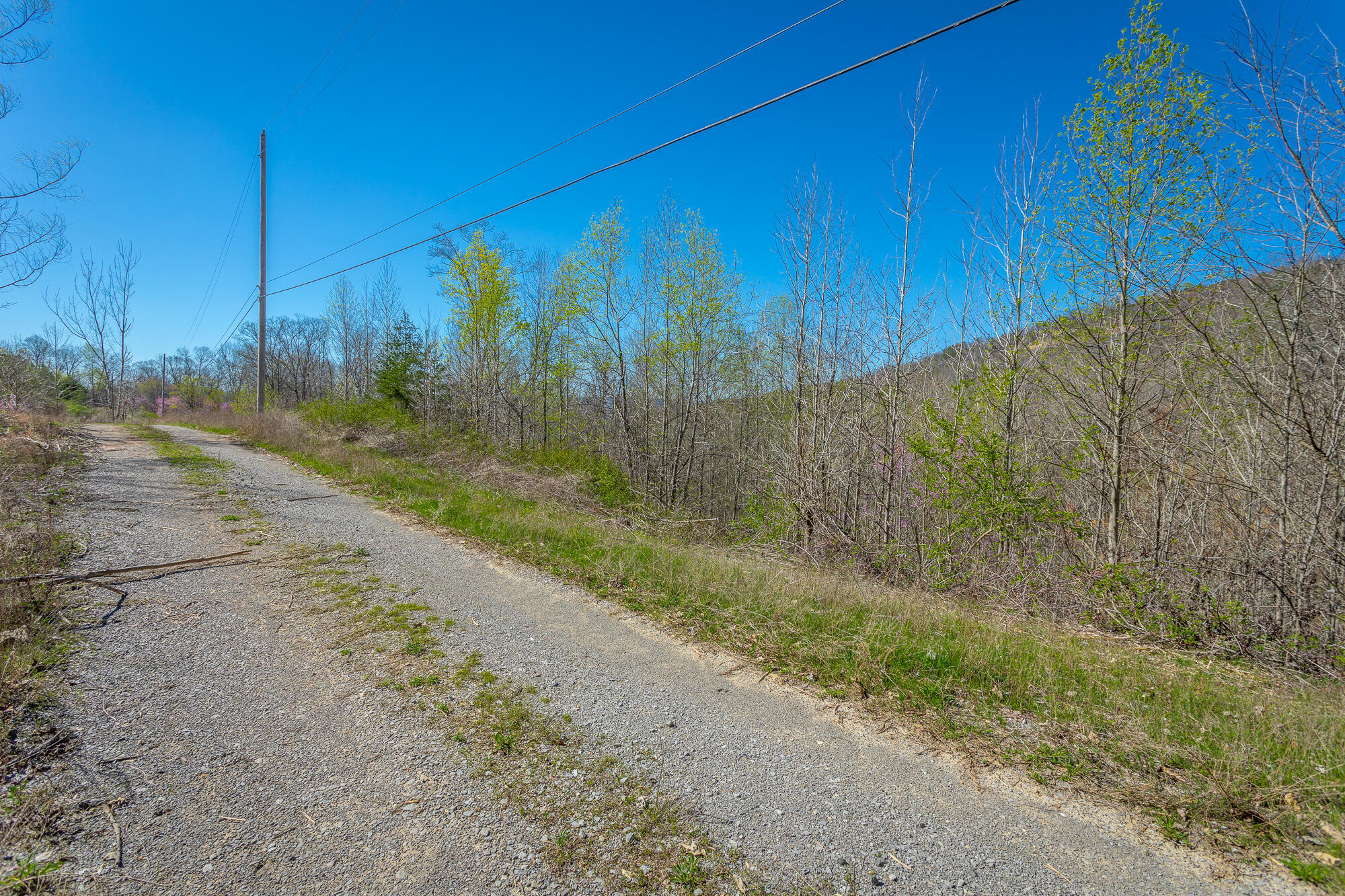 0 Teludachee Trail, Unit 144 Guild, TN 37340 - Photo 5 of 61 Ruckstuhls Lot (2) HD-4