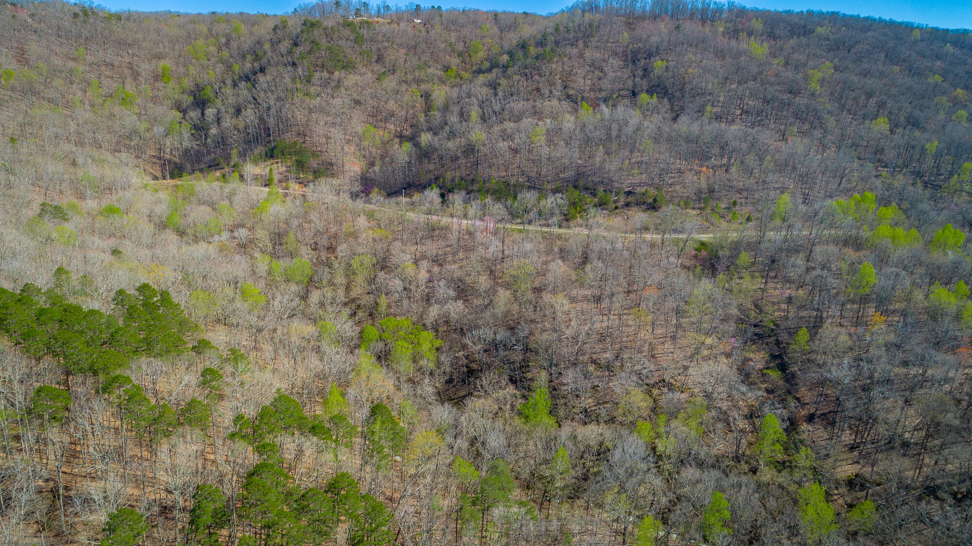 0 Teludachee Trail, Unit 144 Guild, TN 37340 - Photo 53 of 61 Ruckstuhls Lot (2) HD-63