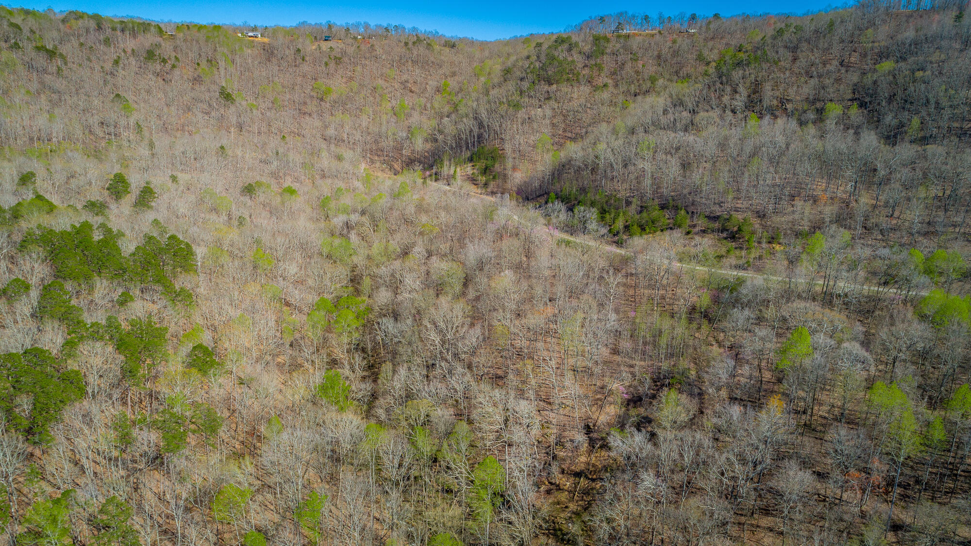 0 Teludachee Trail, Unit 144 Guild, TN 37340 - Photo 54 of 61 Ruckstuhls Lot (2) HD-64
