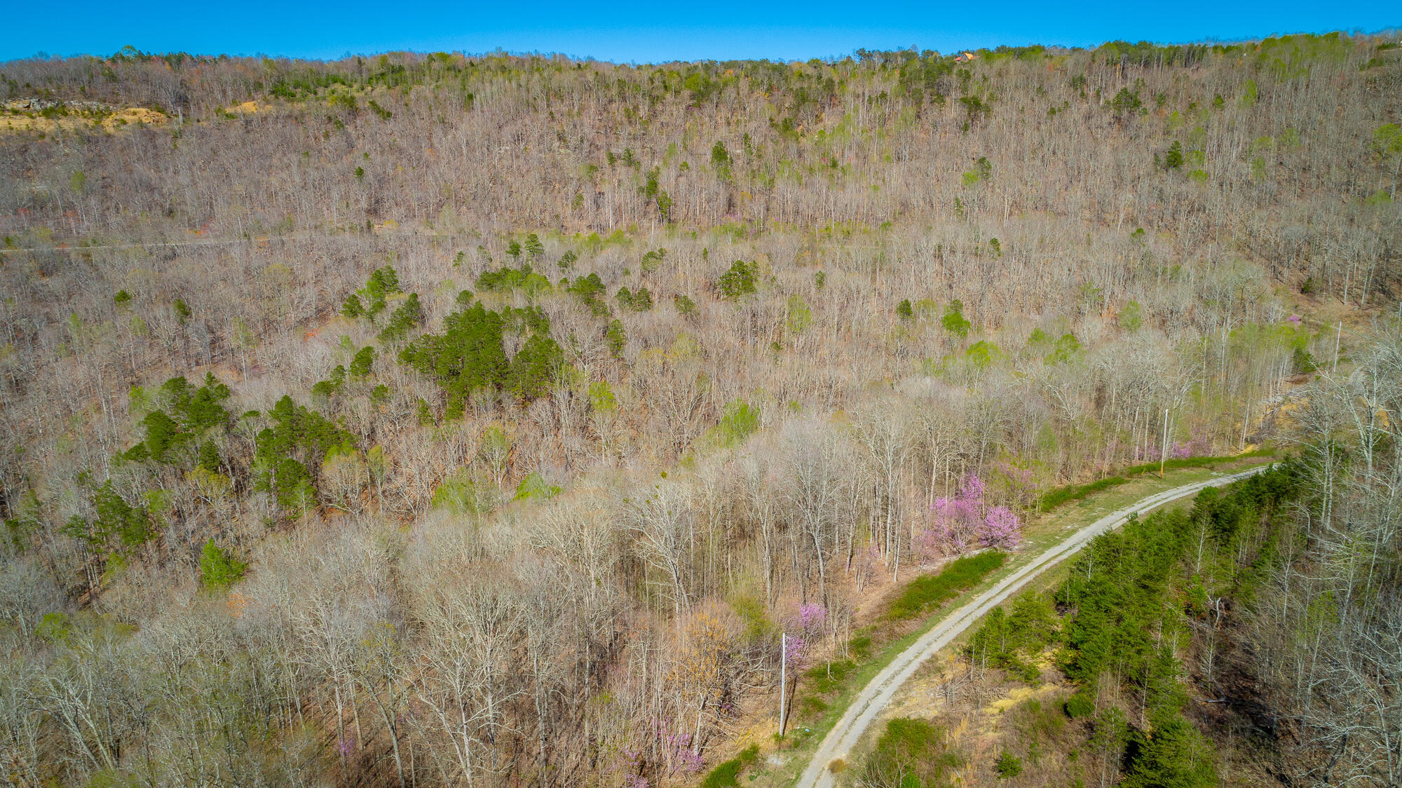 0 Teludachee Trail, Unit 144 Guild, TN 37340 - Photo 56 of 61 Ruckstuhls Lot (2) HD-66