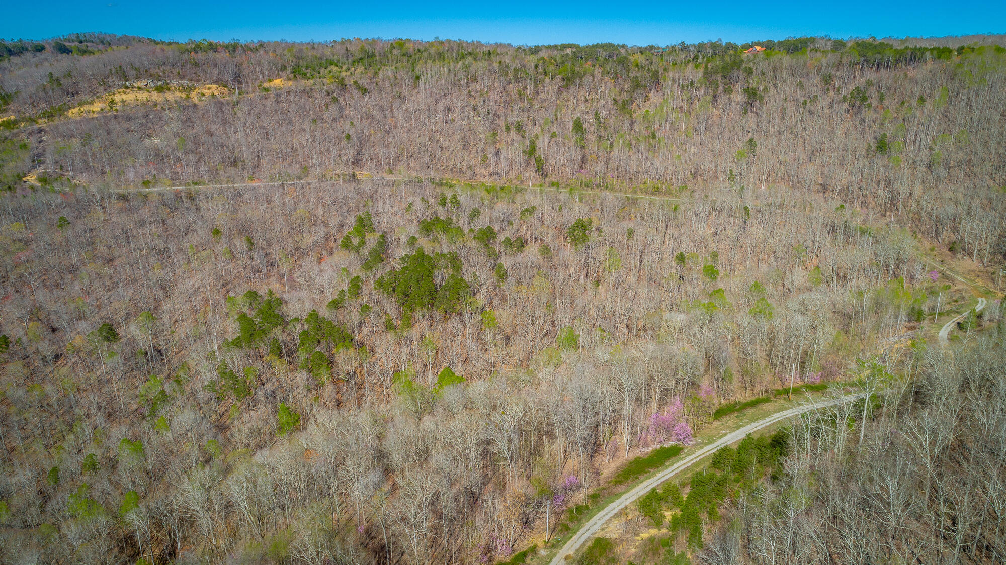 0 Teludachee Trail, Unit 144 Guild, TN 37340 - Photo 60 of 61 Ruckstuhls Lot (2) HD-77