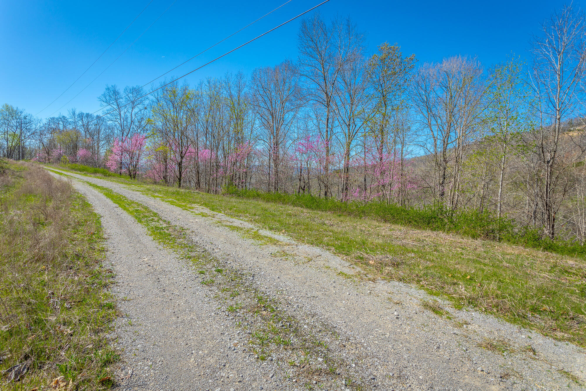 0 Teludachee Trail, Unit 144 Guild, TN 37340 - Photo 6 of 61 Ruckstuhls Lot (2) HD-23 (2)