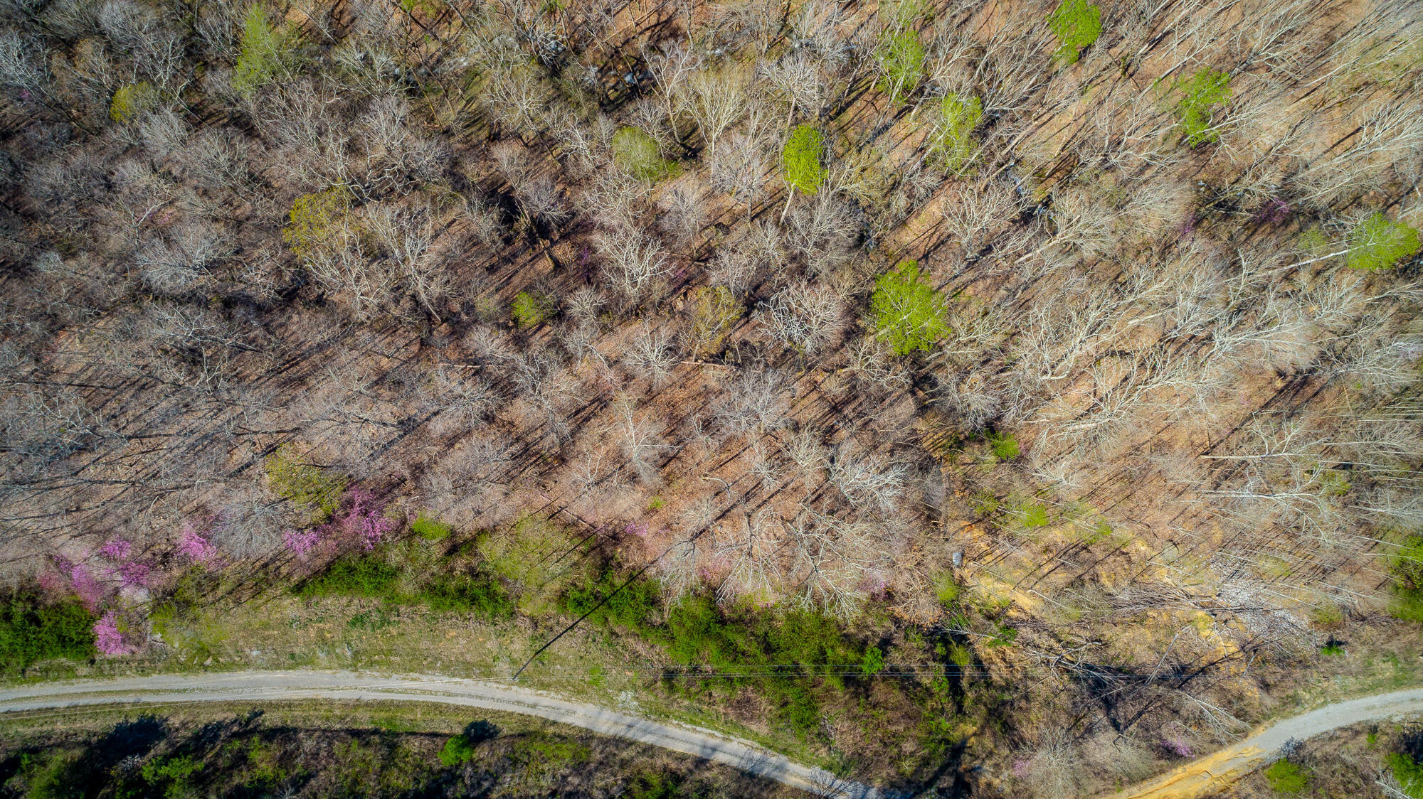 0 Teludachee Trail, Unit 144 Guild, TN 37340 - Photo 61 of 61 Ruckstuhls Lot (2) HD-79