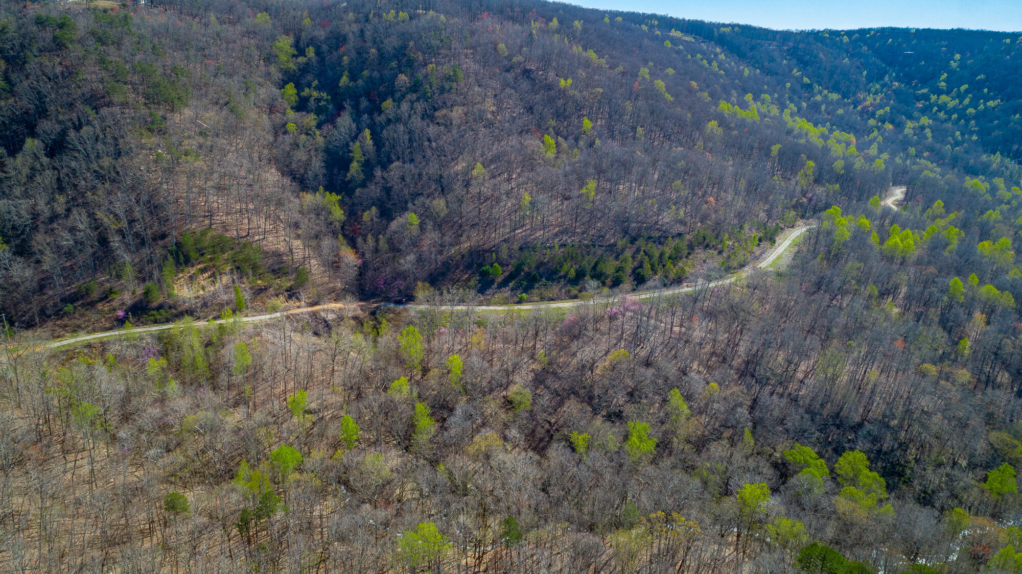 0 Teludachee Trail, Unit 144 Guild, TN 37340 - Photo 7 of 61 Ruckstuhls Lot (2) HD-72