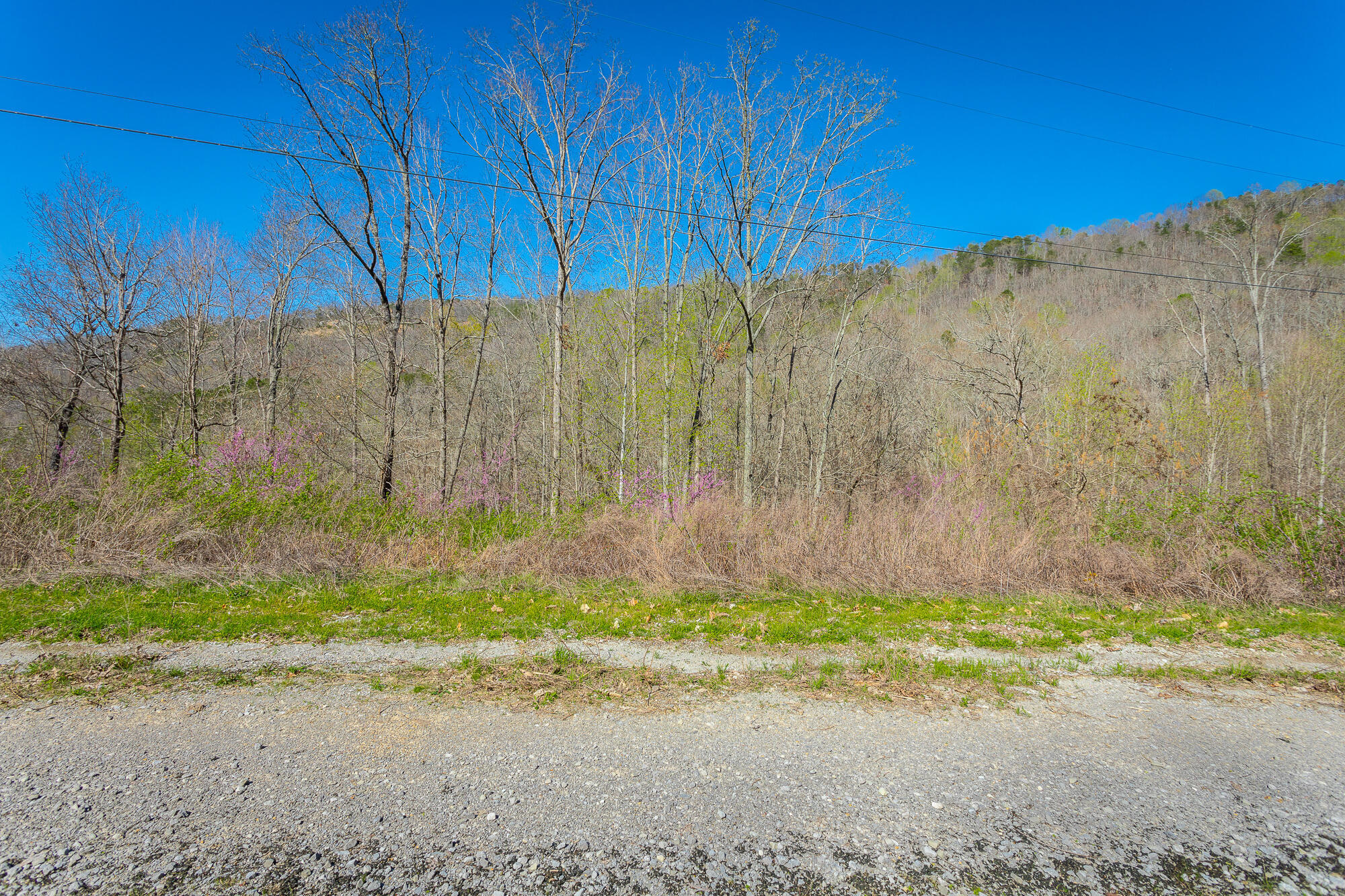 0 Teludachee Trail, Unit 144 Guild, TN 37340 - Photo 8 of 61 Ruckstuhls Lot (2) HD-18