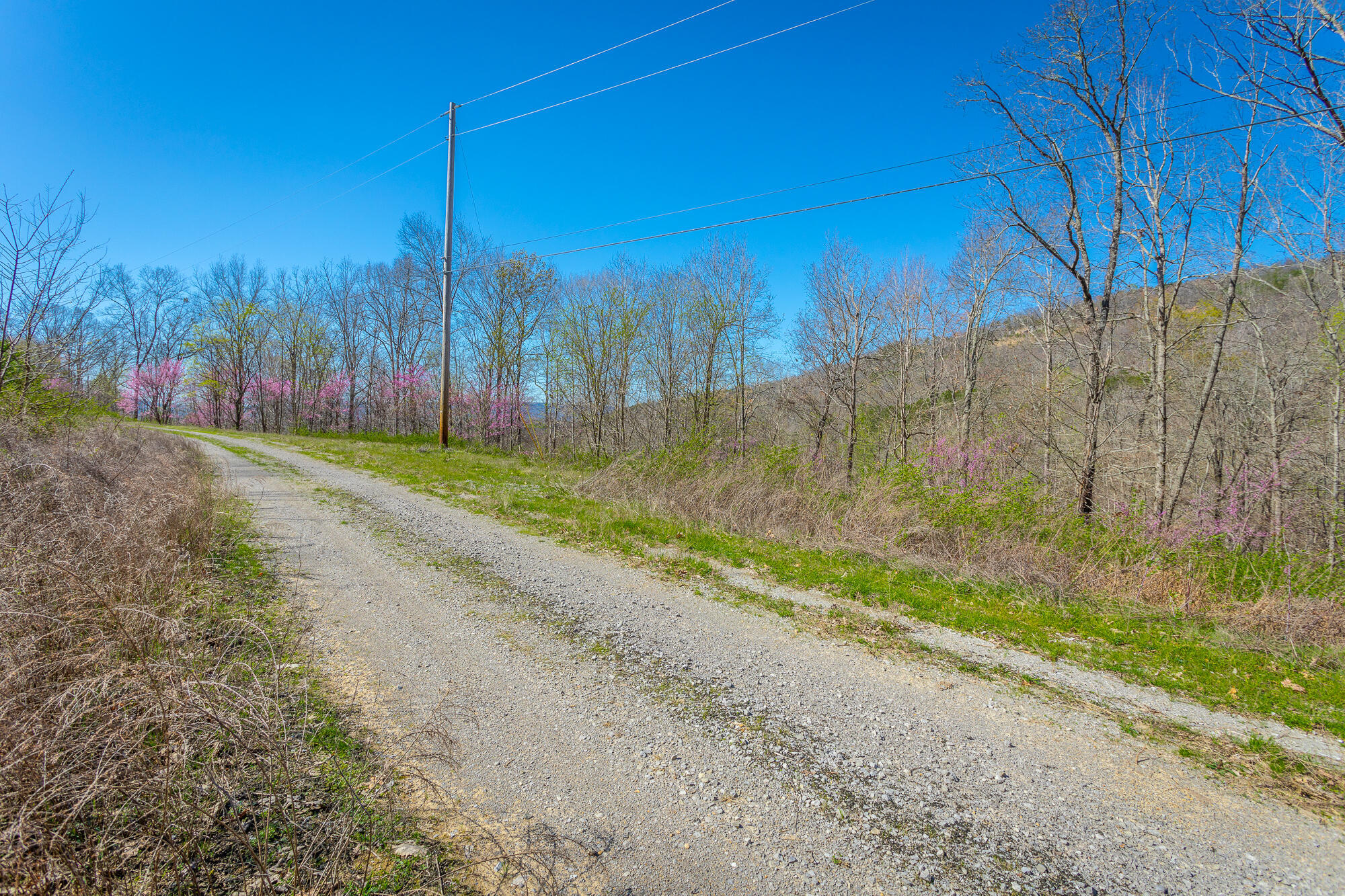 0 Teludachee Trail, Unit 144 Guild, TN 37340 - Photo 9 of 61 Ruckstuhls Lot (2) HD-16