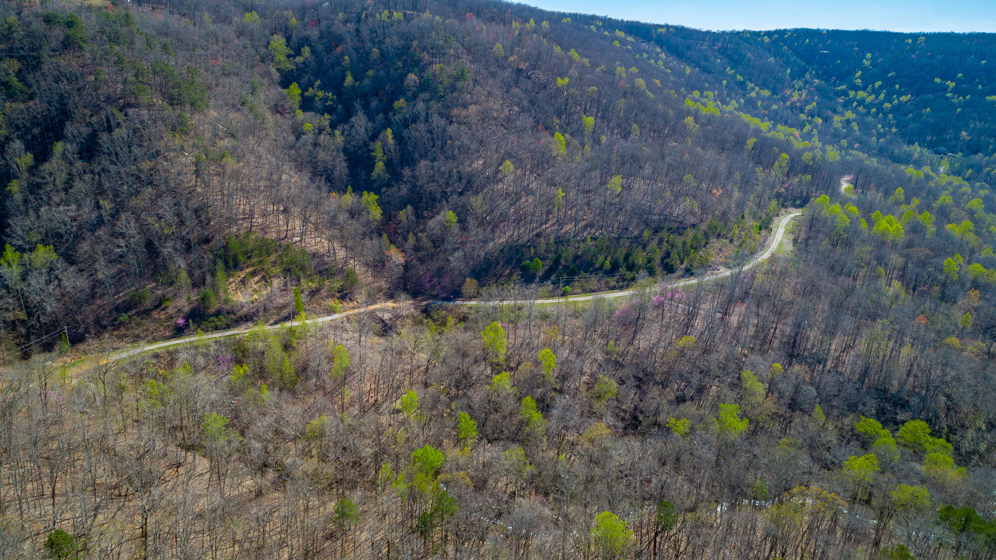0 Teludachee Trail, Unit 144 Guild, TN 37340 - Photo 10 of 61 Ruckstuhls Lot (2) HD-71