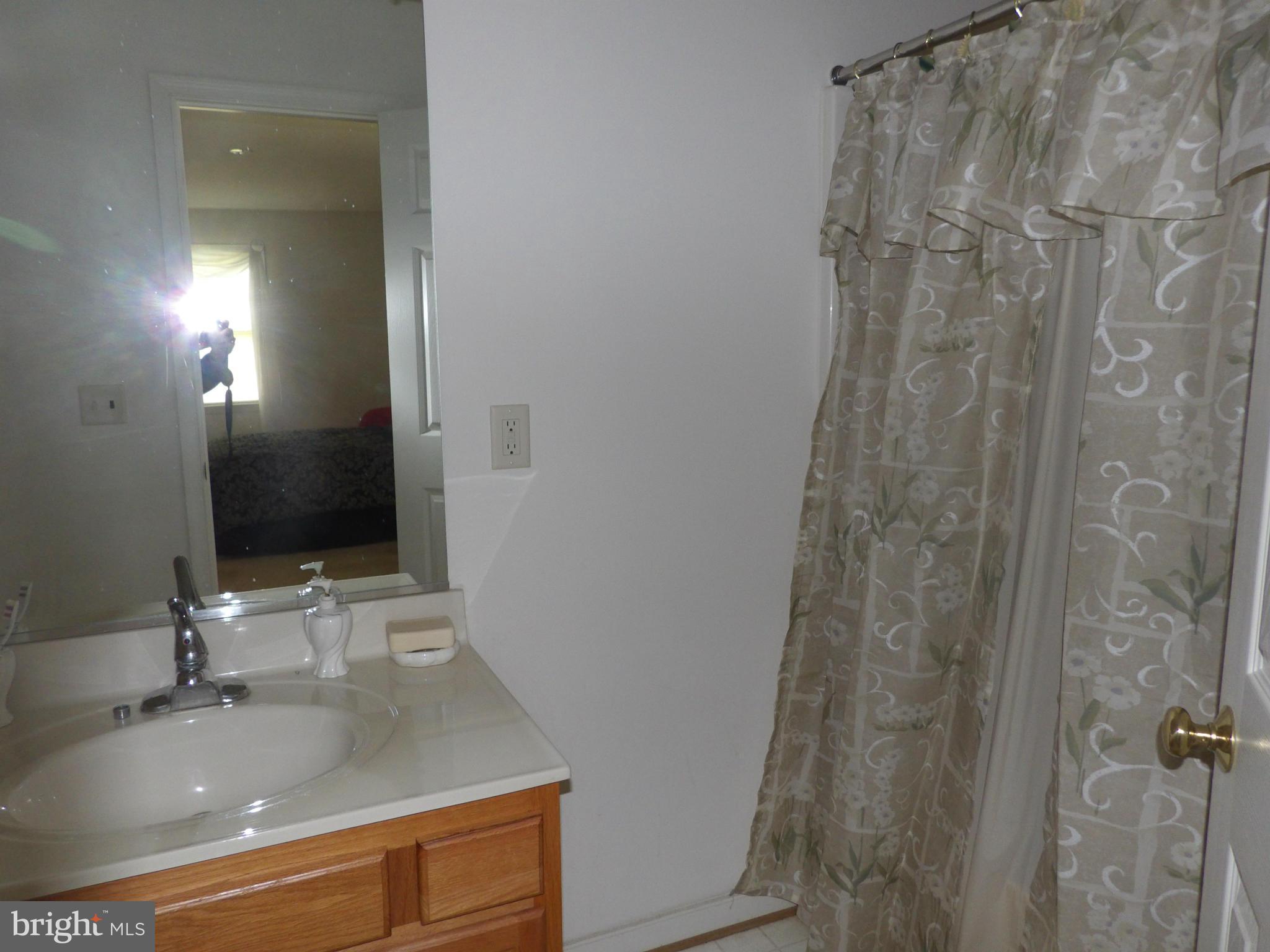 12405 Old Stillhouse Road Boston, VA 22713 - Photo 10 of 14 Bath (Master)