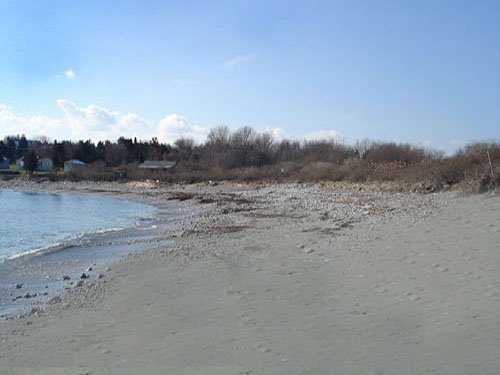 255 Hull Cove Farm Road Jamestown, RI 02835 - Photo 4 of 8 Other.