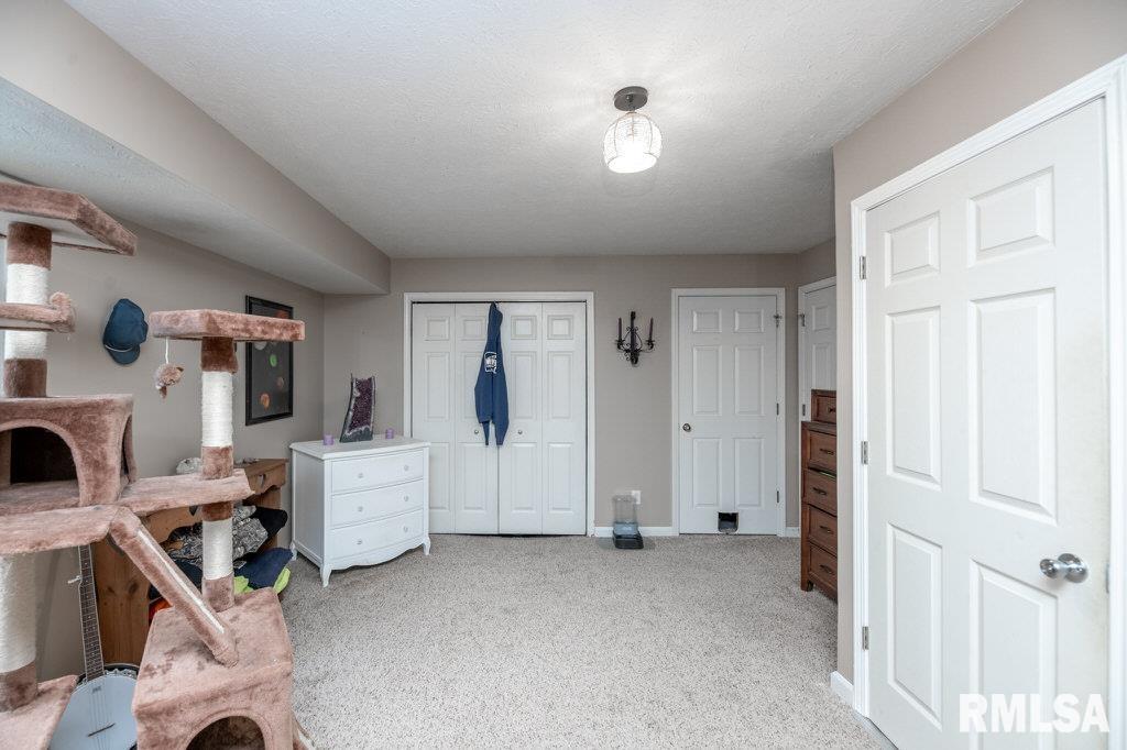 920 Bull Street Normal, IL 61761 - Photo 15 of 21 Gallery Image 15