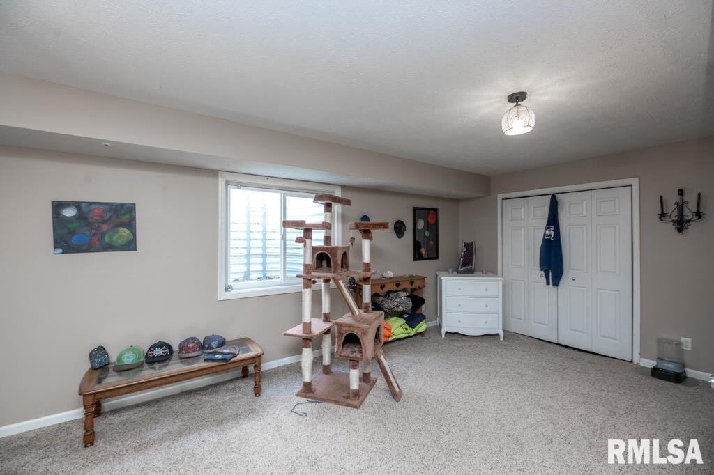920 Bull Street Normal, IL 61761 - Photo 16 of 21 Gallery Image 16