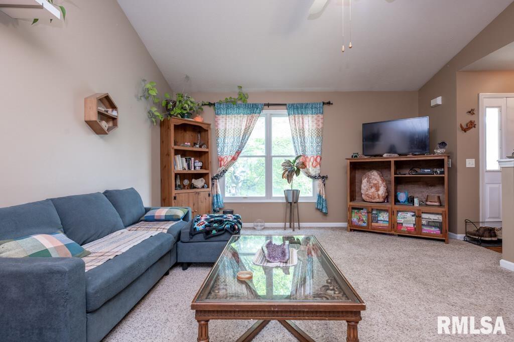 920 Bull Street Normal, IL 61761 - Photo 4 of 21 Gallery Image 4
