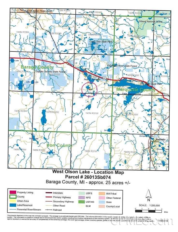 Tbd South Olson Lake Road Michigamme, MI 49861 - Photo 22 of 25