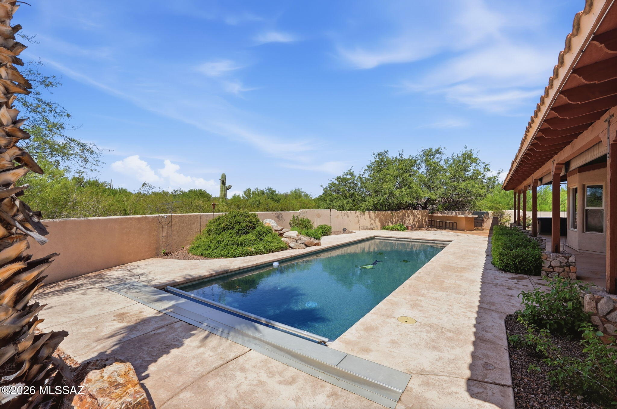 1003 North Freeman Road Tucson, AZ 85748 - Photo 3 of 51 Pool