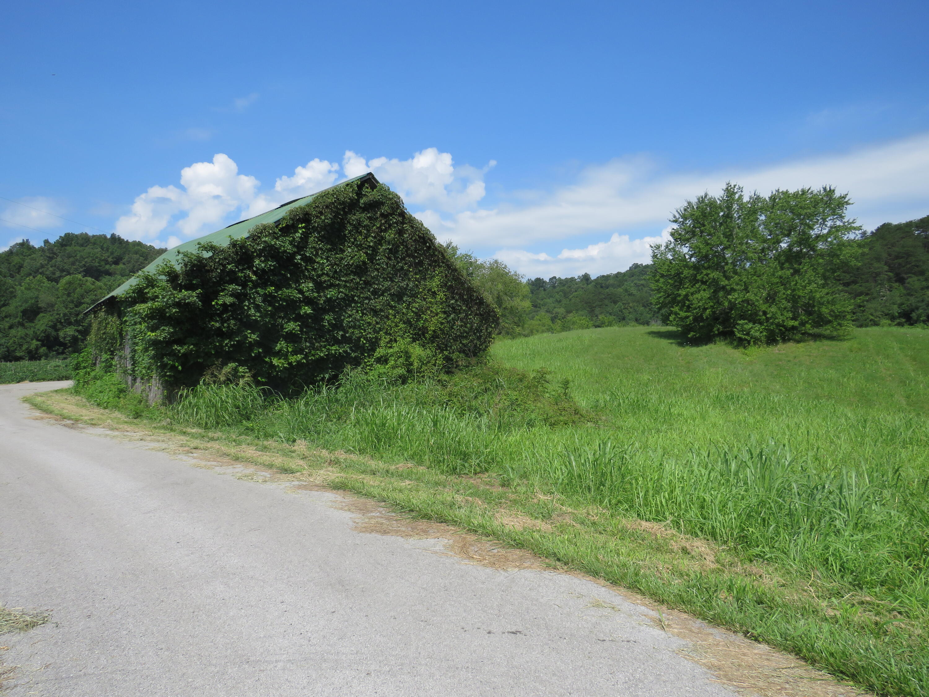 504 Nantz Road London, KY 40741 - Photo 26 of 60 IMG_5028