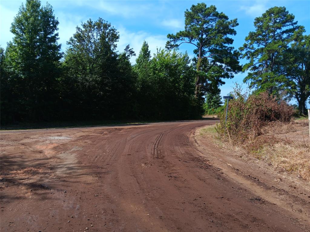 Tbd Private Road Carthage, TX 75633 - Photo 2 of 2 View of street