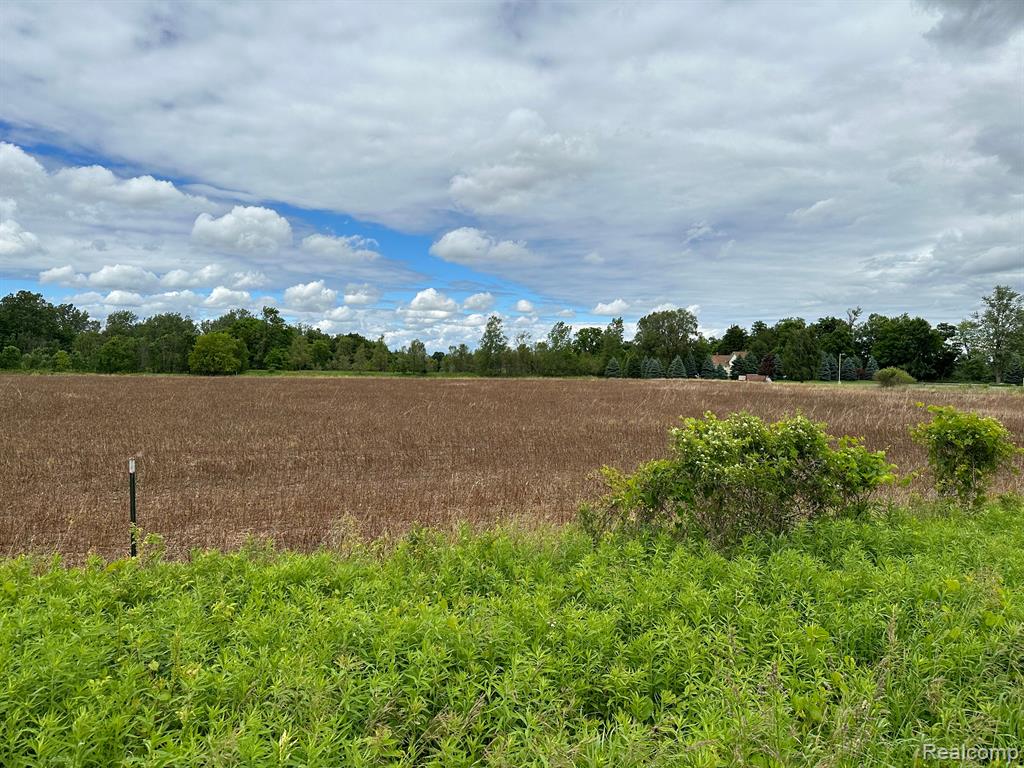 0 Tubspring Road Almont, MI 48003 - Photo 2 of 2
